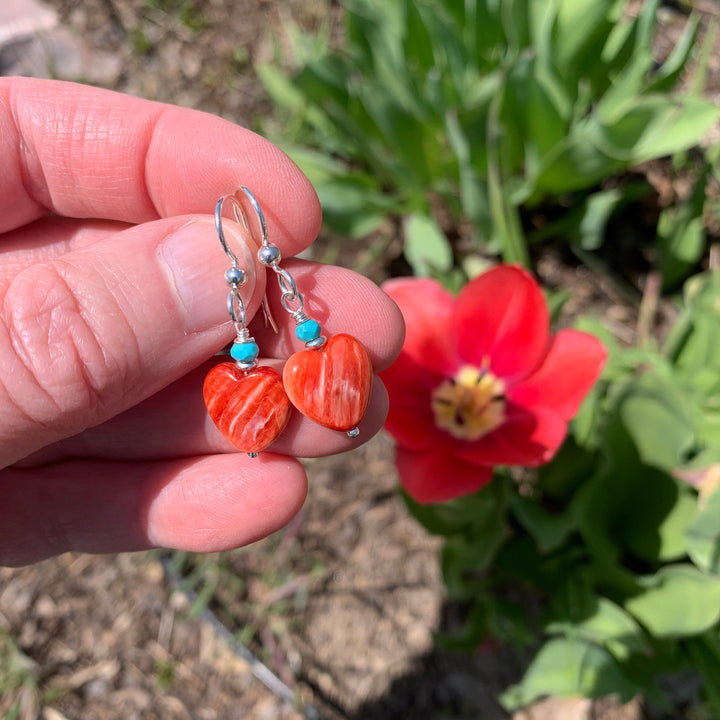 Red Spiny Oyster Shell Heart, Turquoise and Sterling Silver Earrings - SunlightSilver