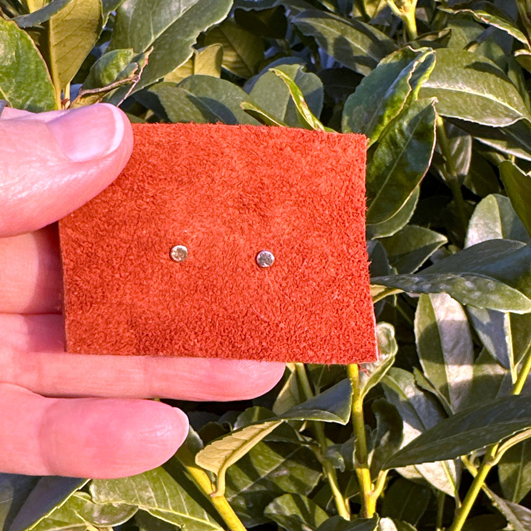 Dot Stud Earrings in 14K Yellow Gold Fill - SunlightSilver