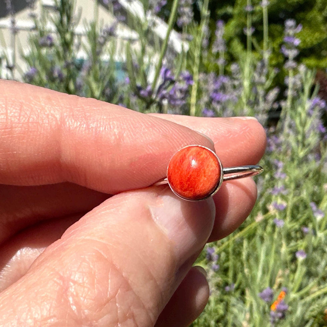 Red Spiny Oyster Shell and Sterling Silver Ring. Size 7 US/Canada - SunlightSilver