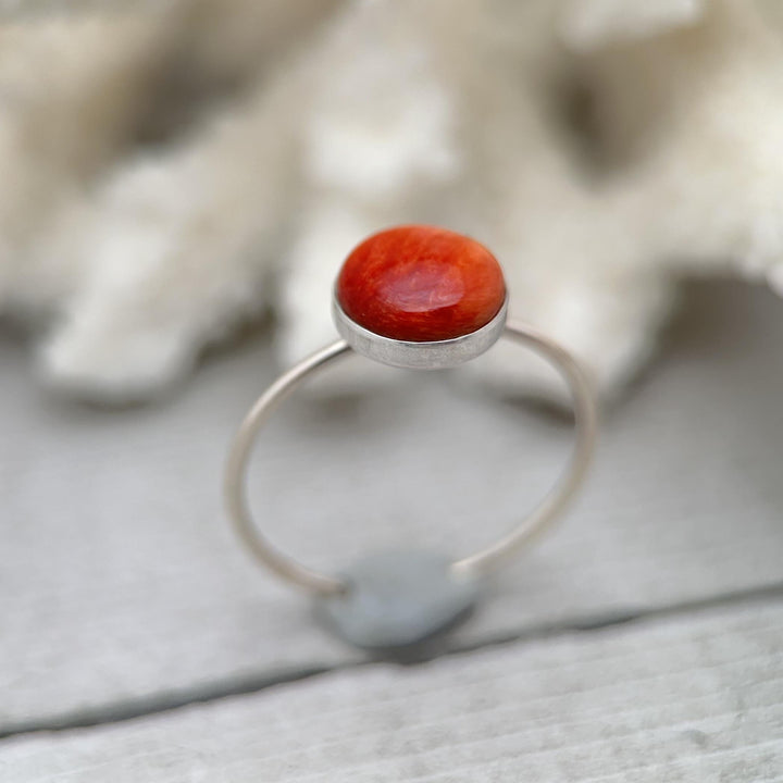 Red Spiny Oyster Shell and Sterling Silver Ring. Size 7 US/Canada - SunlightSilver